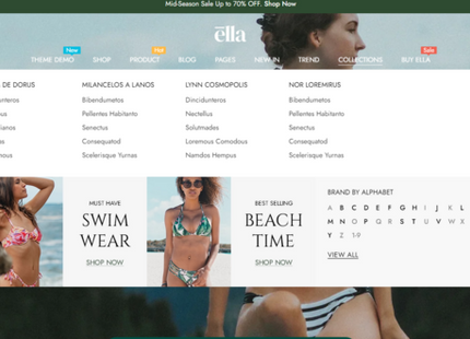 Ecommerce Website Design Service