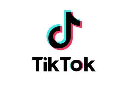 TikTok Management